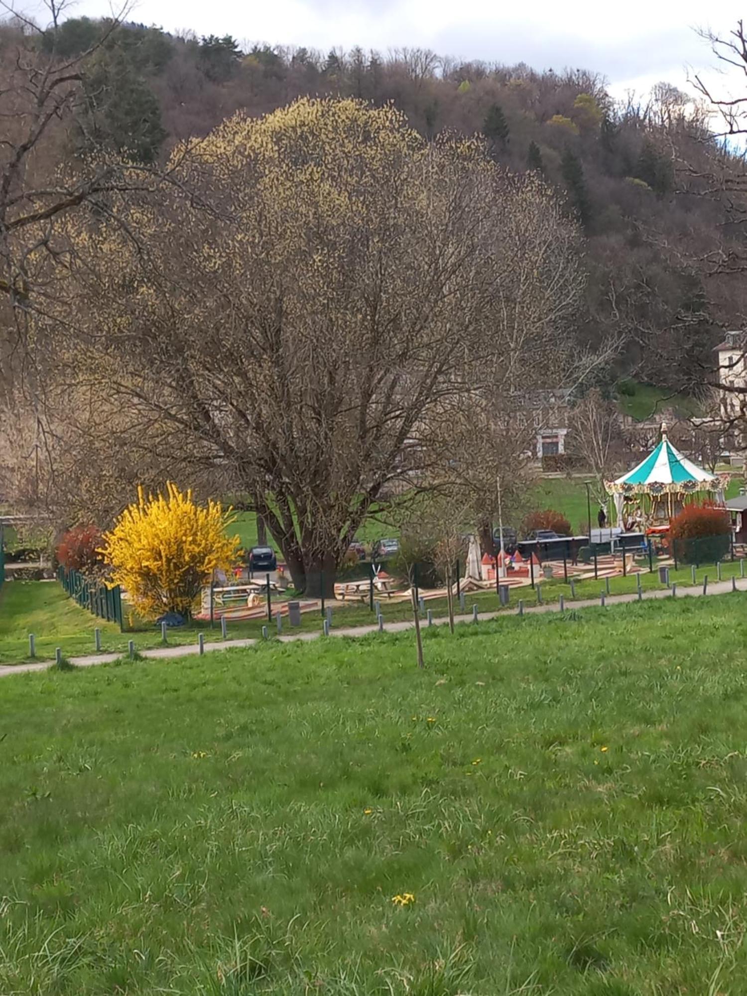 Residence Du Parc Saint-Martin-dʼUriage Kültér fotó